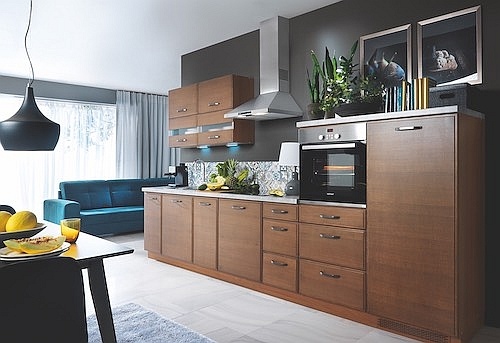 Aplaus – dub hnědý