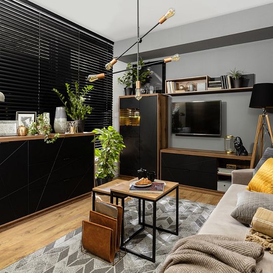 FORN vitrína REG2D1W, dub delano tmavý/černý mat