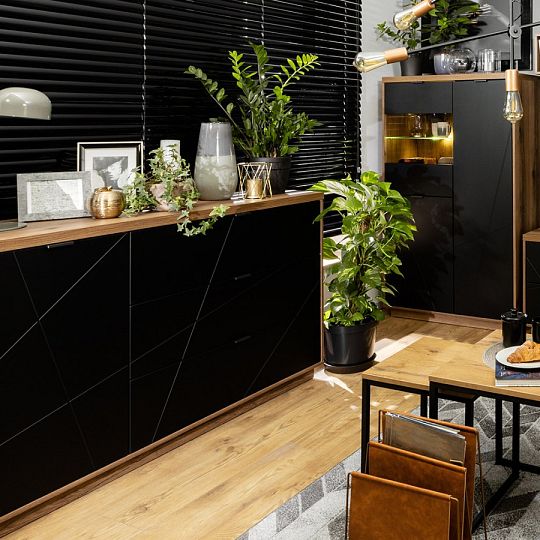 FORN vitrína REG2D1W, dub delano tmavý/černý mat