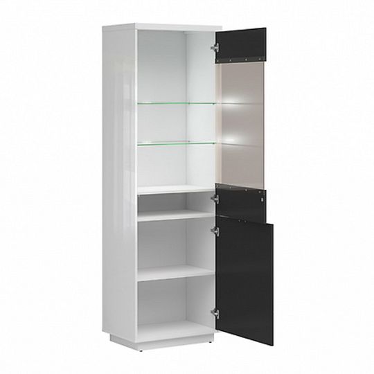 FORN vitrína REG1D1W, bílý lesk/černý mat