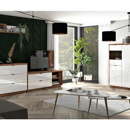 FORN vitrína REG1D1W, dub delano tmavý/bílý lesk