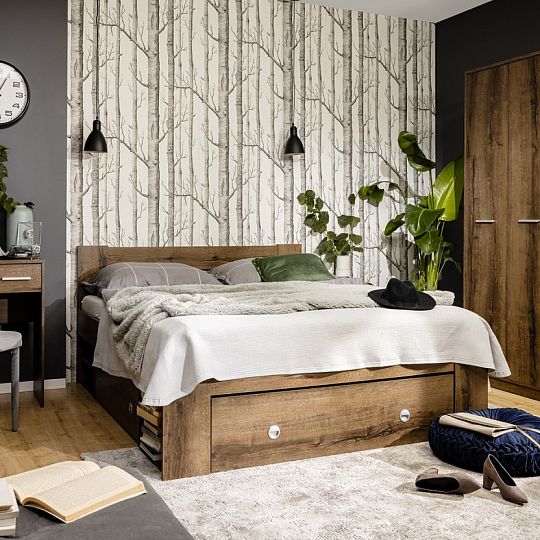 NEPO PLUS šuplík pod postel LOZ3S/160, dub monastery