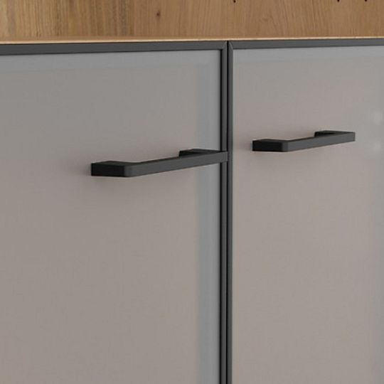 SPACE OFFICE vitrína REG2W/120, dub artisan/černý mat