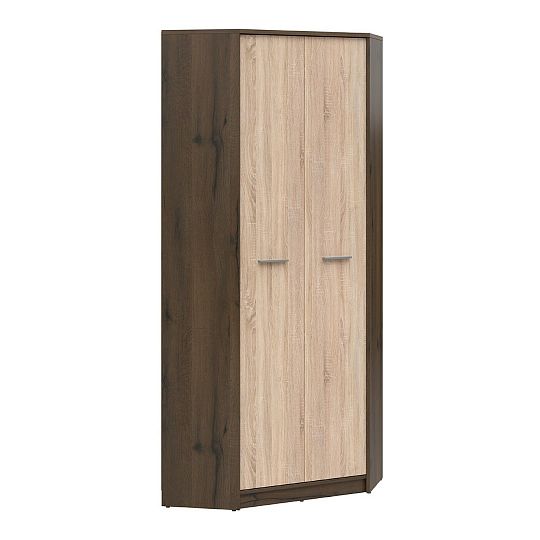 NEPO PLUS rohová šatní skříň SZFN2D, dub ušlechtilý/dub sonoma