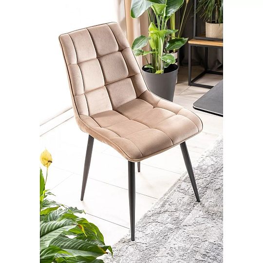 CHICAGO VELVET jídelní židle, béžová