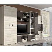 NELSON 1 obývací stěna, jasan / dub stříbrný