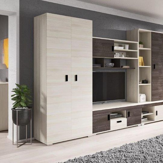 NELSON 1 obývací stěna, jasan / dub stříbrný