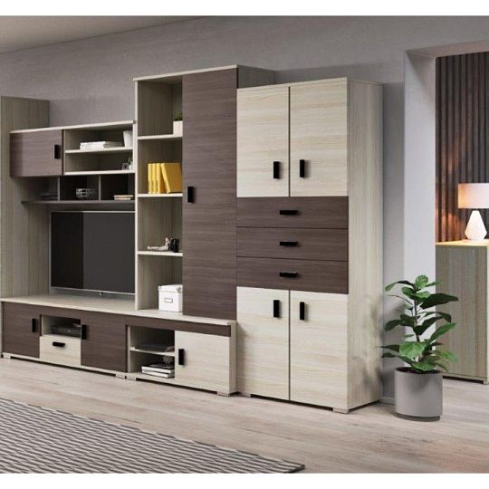 NELSON 1 obývací stěna, jasan / dub stříbrný