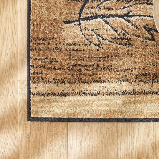Standard Olsza béžový, kusový koberec, obdélník, 170x240